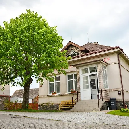 Kampelicka *
